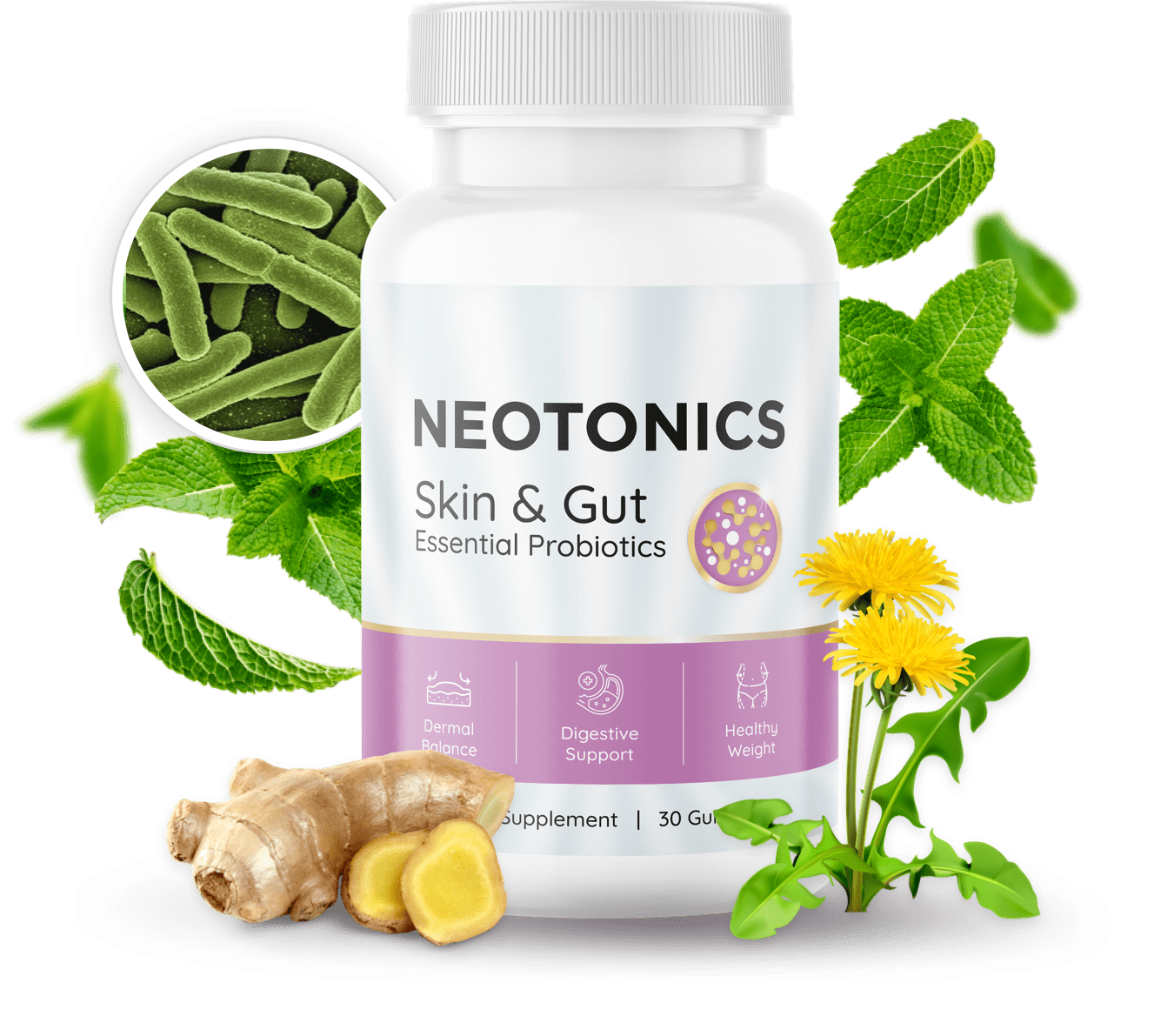Neotonics probiotic gummy supplement